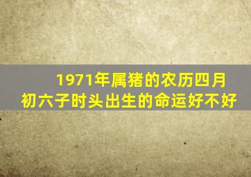 1971年属猪的农历四月初六子时头出生的命运好不好