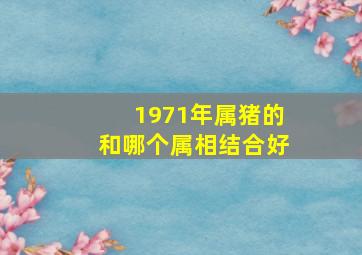 1971年属猪的和哪个属相结合好