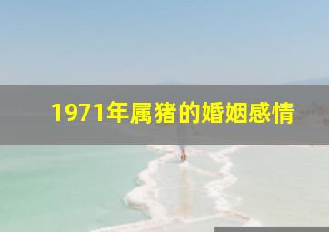 1971年属猪的婚姻感情