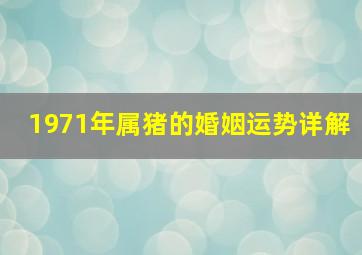 1971年属猪的婚姻运势详解