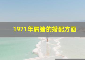 1971年属猪的婚配方面