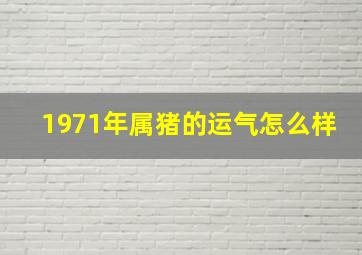 1971年属猪的运气怎么样