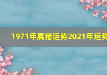 1971年属猪运势2021年运势