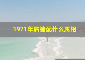 1971年属猪配什么属相