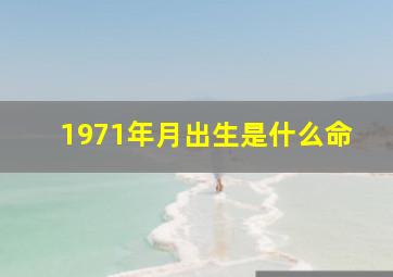 1971年月出生是什么命