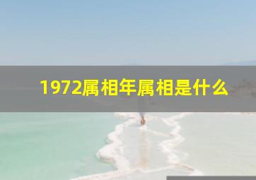 1972属相年属相是什么