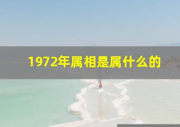 1972年属相是属什么的