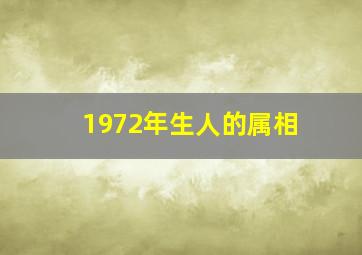 1972年生人的属相