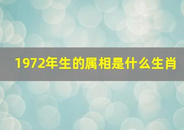 1972年生的属相是什么生肖