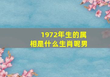 1972年生的属相是什么生肖呢男