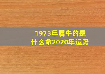 1973年属牛的是什么命2020年运势