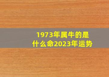 1973年属牛的是什么命2023年运势