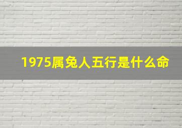 1975属兔人五行是什么命