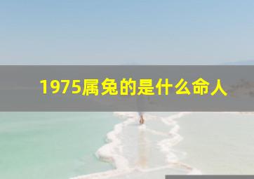 1975属兔的是什么命人