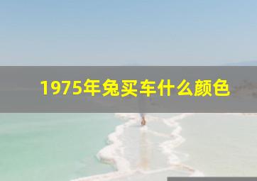 1975年兔买车什么颜色