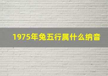 1975年兔五行属什么纳音