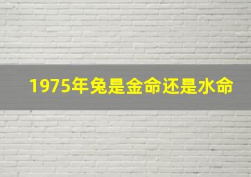 1975年兔是金命还是水命