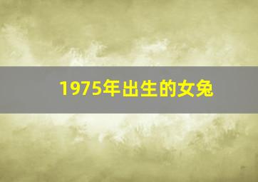 1975年出生的女兔