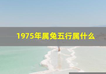 1975年属兔五行属什么