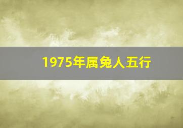 1975年属兔人五行