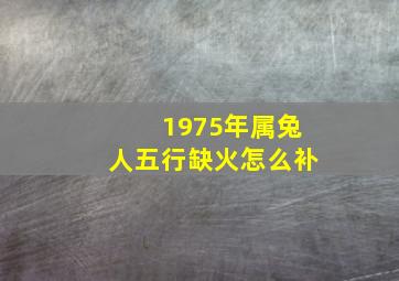 1975年属兔人五行缺火怎么补