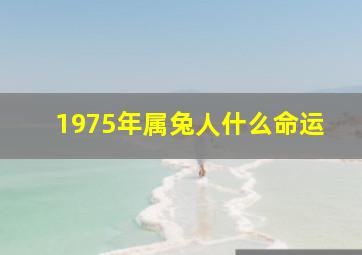 1975年属兔人什么命运