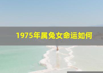 1975年属兔女命运如何