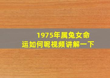 1975年属兔女命运如何呢视频讲解一下