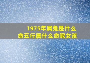 1975年属兔是什么命五行属什么命呢女孩