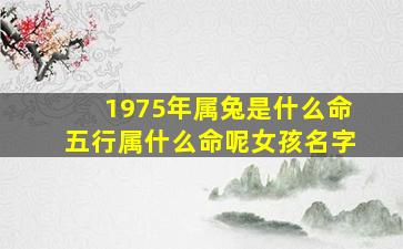 1975年属兔是什么命五行属什么命呢女孩名字