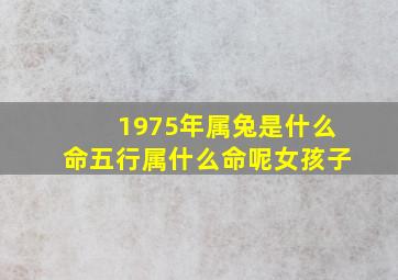 1975年属兔是什么命五行属什么命呢女孩子