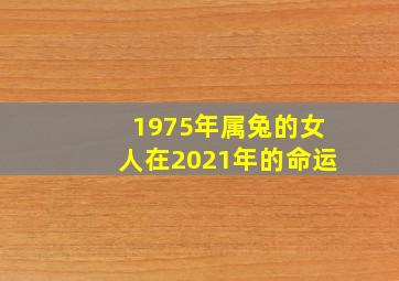 1975年属兔的女人在2021年的命运