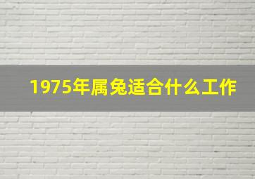 1975年属兔适合什么工作