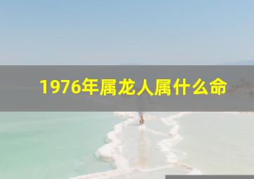 1976年属龙人属什么命