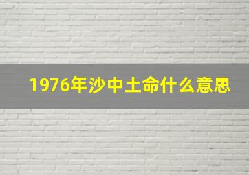 1976年沙中土命什么意思