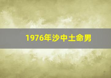 1976年沙中土命男