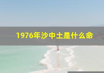 1976年沙中土是什么命