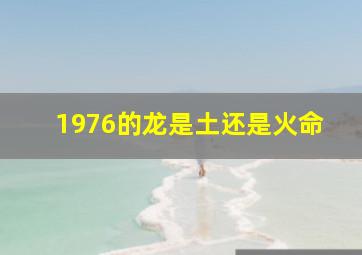 1976的龙是土还是火命