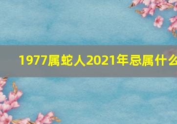 1977属蛇人2021年忌属什么