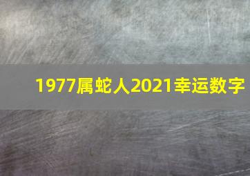 1977属蛇人2021幸运数字