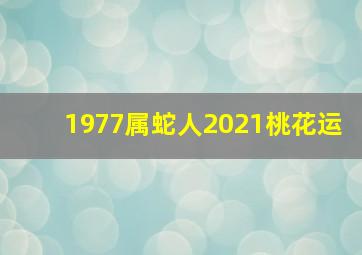 1977属蛇人2021桃花运