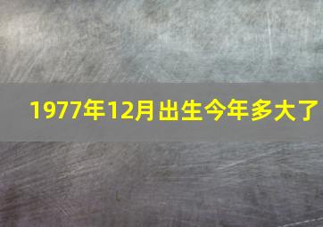 1977年12月出生今年多大了