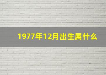 1977年12月出生属什么