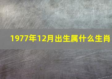 1977年12月出生属什么生肖