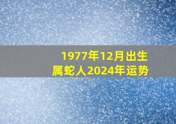 1977年12月出生属蛇人2024年运势