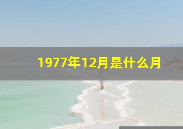 1977年12月是什么月