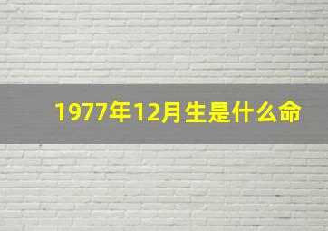 1977年12月生是什么命