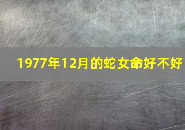 1977年12月的蛇女命好不好