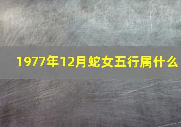 1977年12月蛇女五行属什么