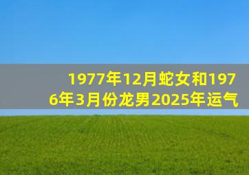 1977年12月蛇女和1976年3月份龙男2025年运气